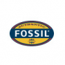 Fossil